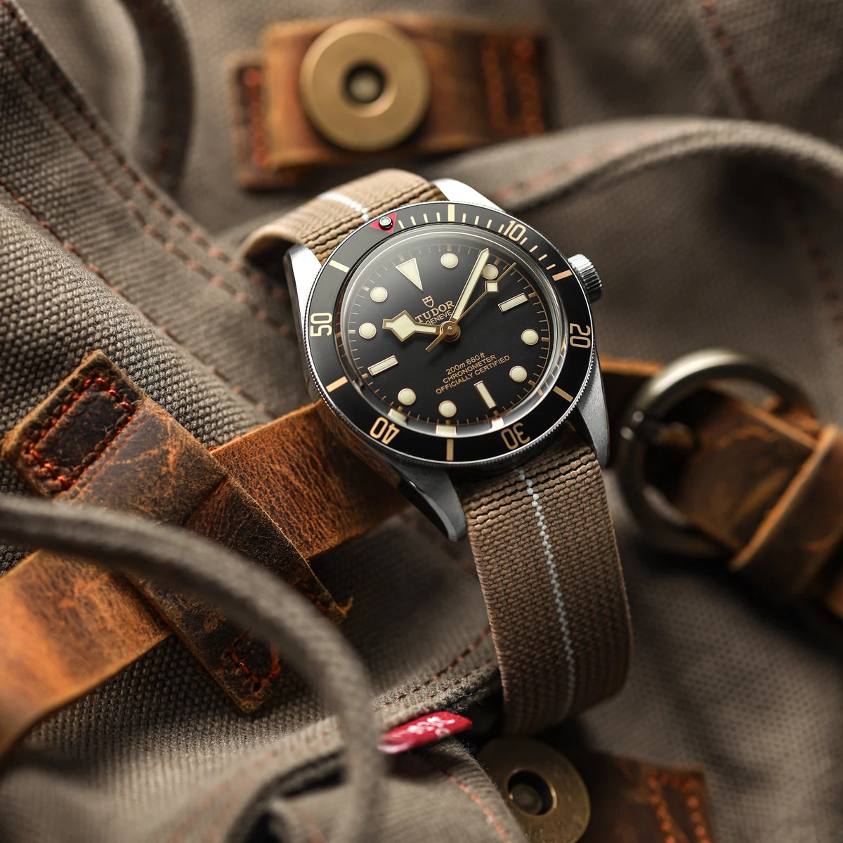 ADDITIONAL - OctoPod Watch Strap - Whittard 6 ADDITIONAL - OctoPod Watch Strap - Whittard - Image 4